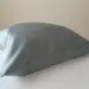 Dvipiuse vandens