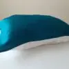 Vienpuse elektric